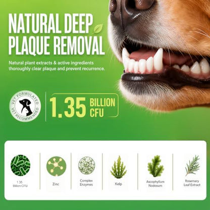 Enzymatic Dog Dental Powder, Mint Dog Teeth Cleaning Plaque Off Powder-150g - Image 3