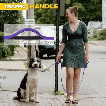 Fida Heavy Duty Dog Leash for Medium Large Dogs, 5 FT, Dual Padded Handles - Image 5