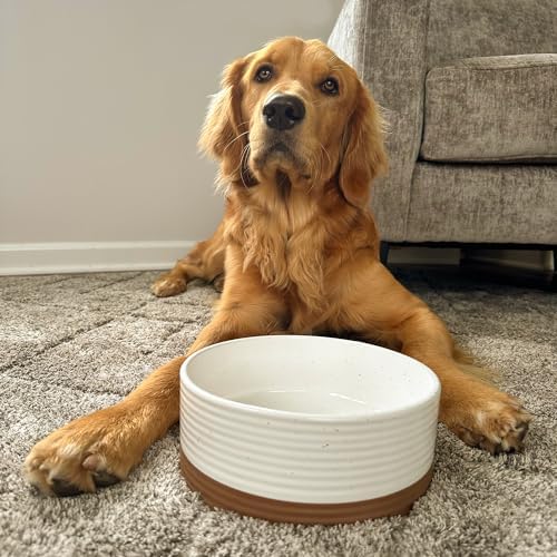 Mora Ceramic Pet Bowl Size Medium - Food/Water Dish for Large Puppies, Cats, Retrievers, Medium Sized Dogs, ect. 28oz or 4 Cups - Basic Bowls for Your Dog or Cat, Mix and Match for a Set - Vanilla - Image 6