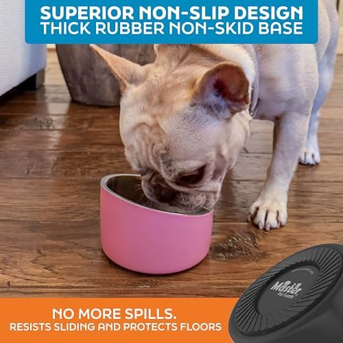Master Pet Supply Stainless Steel Slanted Dog Cat Food Bowl 8 oz Black - Image 5