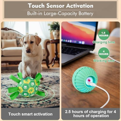 Interactive Dog Toys Dog Soccer Ball to Keep Them Busy(Green) - Image 3
