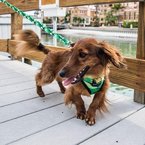 EcoBark Dog Leash - Soft & Reflective Comfort Leashes with Padded Handle - Safe, Strong, & Durable for Small, Medium or Large Dogs (Camo) - Image 2