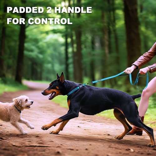 Heavy Duty Double Handle Dog Leash 6 ft Long for Total Control, Padded 2 Handle, Reflective Training Lead for Medium Large Dogs (Sky Blue, 6 FT) - Image 6