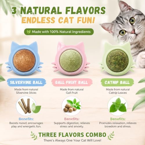 Cat Wall Toy 9pcs Refill Ball Catnip Silvervine Gall Fruit Lickable - Image 2