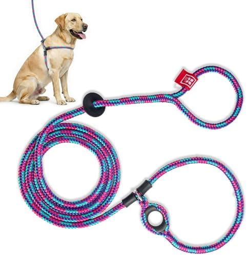 Harness Lead No Pull Dog Harness and Leash Set, Anti Pull Dog Harness, One-Piece Cushioned Rope Safely Prevents Escaping and Pulling (Medium/Large, Reef) by HarnessLead