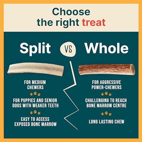 100% Natural - Elk Antlers for Dogs - Naturally Shed in USA - Dog Antler Chews for Medium Breeds - Natural, Long-Lasting Treats for Aggressive Chewers - Dog Chews - No Smell & No Mess - Medium - Image 3