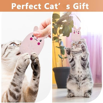 5pcs Catnip Toys, Funny cat Toy, bite Resistant cat Toys - Image 6
