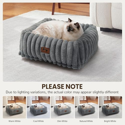 Cute Dog Bed for Small Dogs & Cats,Washable Fluffy Cat Beds for Indoor Cats, Rectangle Orthopedic Memory Foam Puppy Beds with Anti-Slip Bottom, 20 x19 x 7 Inches, Grey (20x19x6 inches) - Image 3