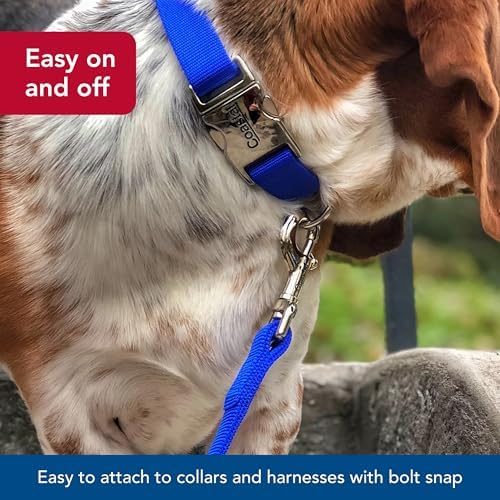 Coastal Pet Double-Ply Dog Leash - Bolt Snap Attachment to Collars and Harnesses - Nylon Dog Walking Leash for Small, Medium and Large Dogs - Black - 1" x 6' - Image 4