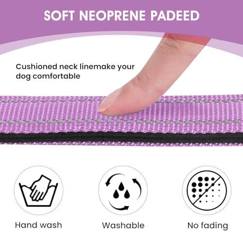 Reflective Dog Collar, Adjustable Nylon for Puppy, Lavender XS - Image 3