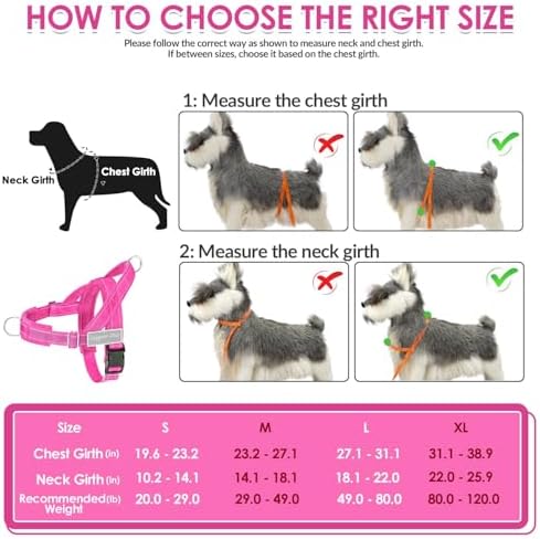 SlowTon No Pull Dog Harness and Leash Set - Heavy Duty, Soft Padded - Image 6