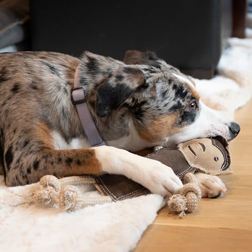 SPOT Dura-Fused Leather Jungle Animals - Dog Toy with Squeakers and Rope Limbs, Real Leather and Jute Chew Toy, Durable No-Stuffing Toy for Light to Moderate Chewers - 14in, Assorted Styles, 1 Piece - Image 5