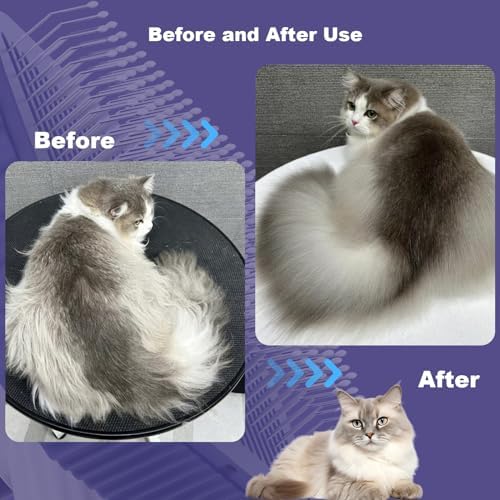 Cat brush, Cat Brush for Long or Short Haired Cats - Image 6