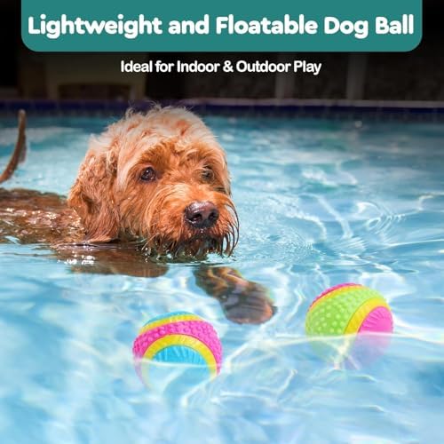SPOT Sensory Ball Dog Toy for Soft Chewers – 3.25-Inch Durable TPR Rubber Ball with Squeaker and Bell, Textured for Gentle Chewing, High-Contrast Colors for Indoor & Outdoor Fetch Play - Image 5