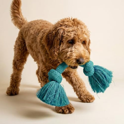 Playology Tug Rope Dog Toys for Medium Dogs - Medium, Peanut Butter Scent - Image 3