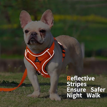 Dog Harness Medium Sized Dog Pet Vest with Leash Set Orange L - Image 5