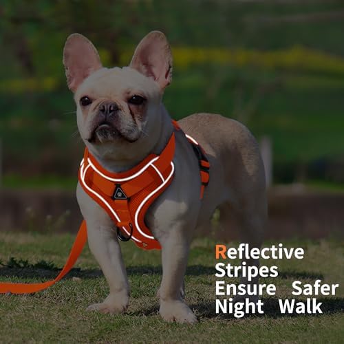 Dog Harness Small Sized Dog Pet Vest with Leash Set Orange M - Image 5