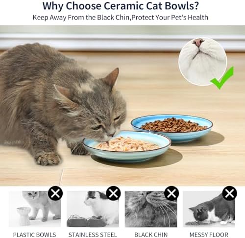 Selamica 6 Inch Ceramic Cat Bowls, Set of 4, Gradient Blue - Image 4