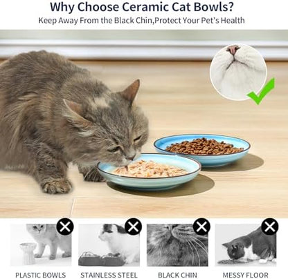 Selamica 6 Inch Ceramic Cat Bowls, Set of 4, Gradient Blue - Image 4