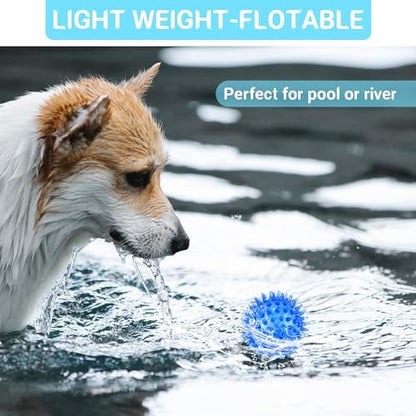 2.5" Squeaky Dog Toy Balls for Small & Medium Dogs – Durable Rubber Chew Toys for Teething Puppies, Spiky Teeth Cleaning Ball with 8 Colors - Image 5