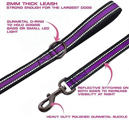 JSXD Heavy Duty Double Handle Dog Leash - 5 FT with Comfortable Padded and Reflective Rope, for Small to Large Dogs (Wide-Purple) - Image 2