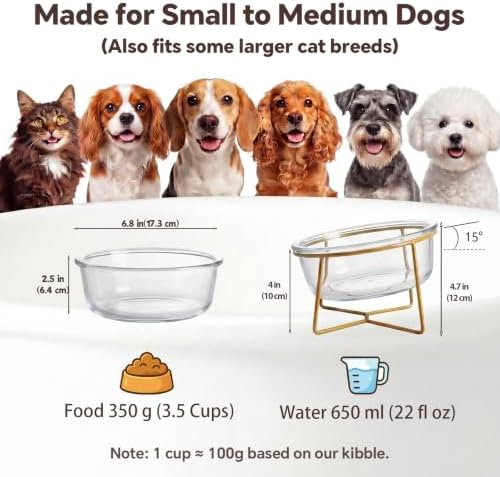 Large Glass Tilted Elevated Cat Dog Bowl Raised Cat Food Water Bowl Dish Pet Comfort Feeding Bowls with Gold Iron Stand - Image 2