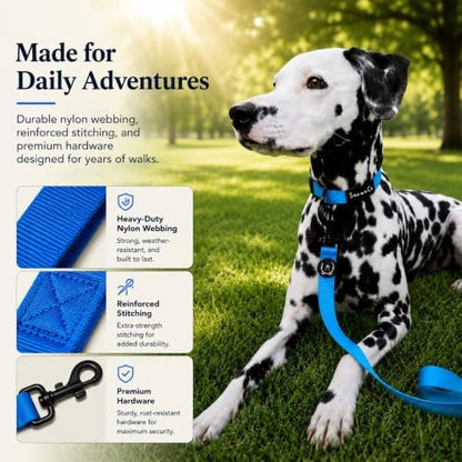 ShawnCo Dream Walk Dog Leash (Cotton Candy,M/L 6FT w/ 2 Handles) - Image 3