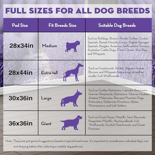 CROCI Puppy Pads with Adhesive Tabs Leak Proof Lavender Scent 28x34in 40Ct - Image 6