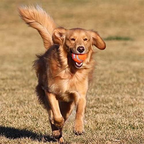 Chuckit! 6 Pack of Tennis Balls, Small, Launcher Compatible Dog Toys - Image 5
