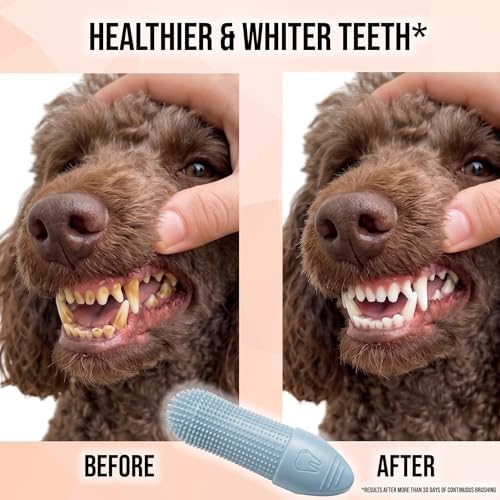 Hampton Distribution 2-Pack Pet Dental Care Kit - 360° Silicone Dog & Cat Finger Pet Toothbrush - Image 3