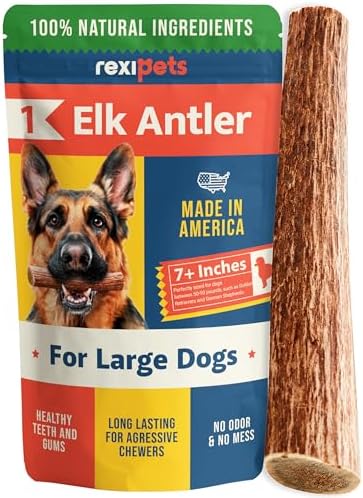 REXIPETS 100% Natural - Elk Antlers for Dogs - Naturally Shed in USA - Long Lasting Chews for Aggressive Chewers - Natural, Real Dog Antler Treats & Toys - Dog Chews - No Odor & No Mess - Large by Rexipets