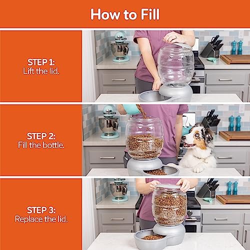 Petmate Replendish Automatic Cat and Dog Feeder, 2lbs, Grey - Image 6