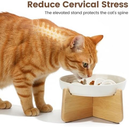 PETTOM Slow Feeder Cat Bowl with Stand, Ceramic Slow Eating Cat Bowl with Higher Edges, Elevated Cats Food Bowls for Dry and Wet Food Anti-Vomiting Puzzle Feeder for Healthy Eating Diet - Image 4