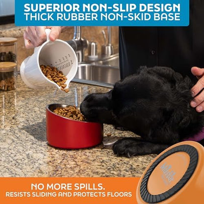 Master Pet Supply Stainless Steel Slanted Dog Cat Food Bowl 16 oz Mango - Image 5