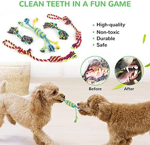 LEGEND SANDY Puppy Toys, Squeaky Dog Toys for Small Dogs, 12 Pack Puppy Chew Toys for Teething, Dog Rope Toy and Cute Stuffed Animals Value Bundle - Image 5