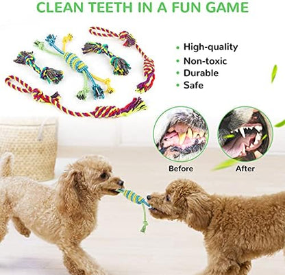 LEGEND SANDY Puppy Toys, Squeaky Dog Toys for Small Dogs, 12 Pack Puppy Chew Toys for Teething, Dog Rope Toy and Cute Stuffed Animals Value Bundle - Image 5