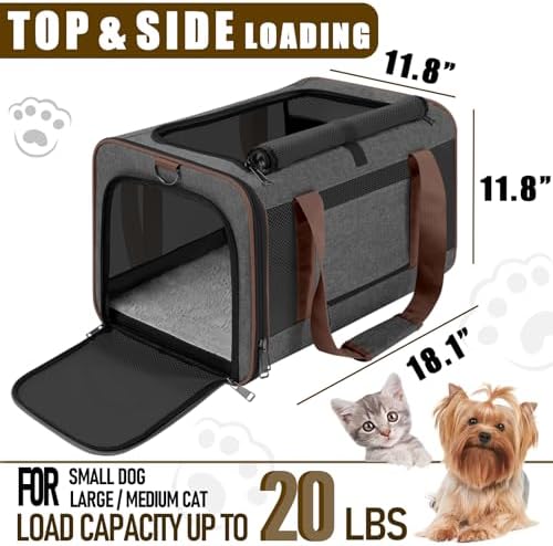 GAPZER Large Cat Carrier Soft, Collapsible Travel Pet Carry Bag, Small Dogs - Image 3