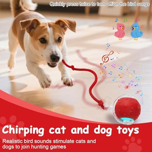 Interactive Cat Toys Smart Ball for Cats & Dogs! Now with 2 Rapid Tails. Features: 360°Auto-Rolling, Motion Activation& Bird Sounds. Perfect for Indoor Pet Exercise & Fun. (Blue) - Image 5