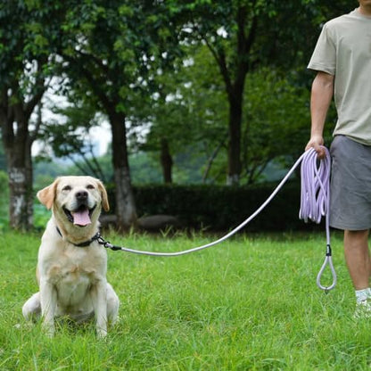 Long Dog Leash, 10ft 30ft 50 feet Heavy Duty Dog Training Leash, Aviation Aluminum Auto Locking Carabiner, Nylon Rope Long Line Check Cord Recall Lead for Yard,Playing,Camping,Purple,10FT - Image 5