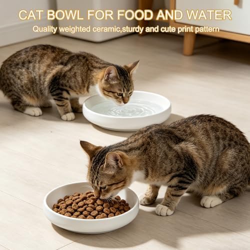 Shallow Elevated Cat Bowls with Bamboo Stand, 6.1 Inch Wide Ceramic Cat Dish Whisker Friendly, 2 Pack Pet Food and Water Plates - Image 5