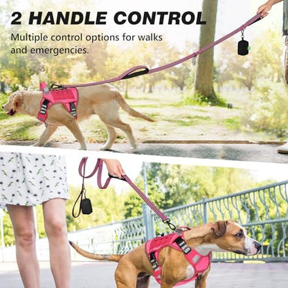 Double Handle Dog Leash with Poop Bag Holder and Car Seat Belt Buckle - Image 5