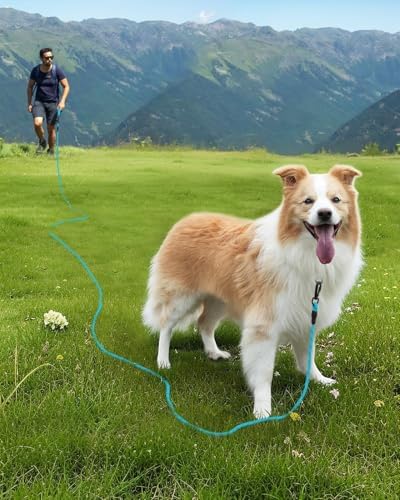 Joytale Long Dog Leash for Yard Tie Out & Recall Training, Blue, 65FT - Image 2