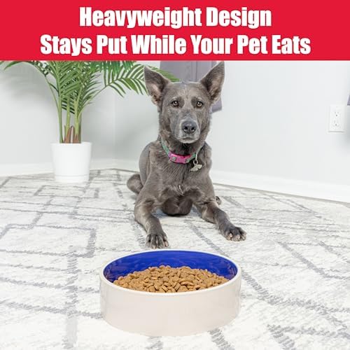 SPOT Standard Crock Dish - Heavy Duty, Non-Slip, Round Ceramic Food/Water Bowl for Pets, Ideal for Medium to Large Dogs or Multiple Animals, Dishwasher Safe - 9.5 in, 8 Cups, (64 Oz) - Image 5