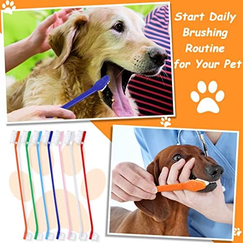 Honeydak 70 Pcs Dog Tooth Brush Dual Headed Pet Toothbrush, Colorful - Image 4