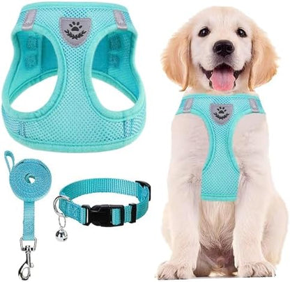 PUPTECK Dog Harness, Collar and Leash Set No Pull for Small Medium Sized by PUPTECK