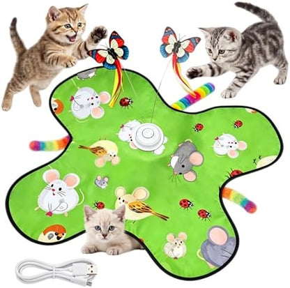 Interactive Cat Toys for Kitten & Adult Cats 3-in-1 Touch Activated by Unknown