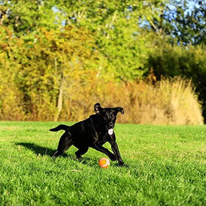 Chuckit! 6 Pack of Tennis Balls, Small, Launcher Compatible Dog Toys - Image 4
