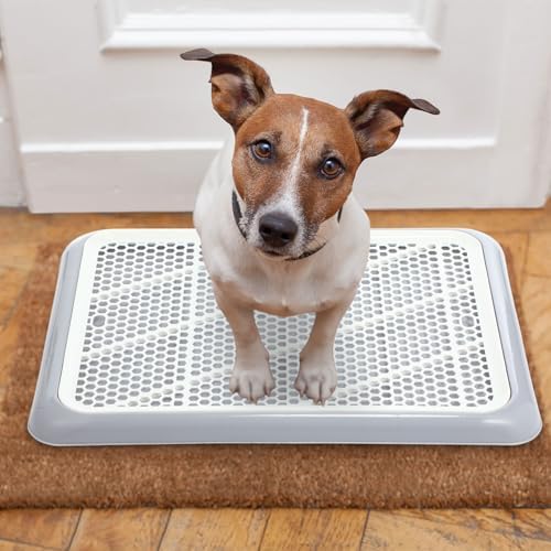 Mifoci Dog Pee Pad Holder Tray with Mesh Potty Training, 19.69 x 14.17 Inch - Image 6