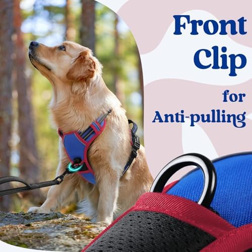 rabbitgoo Dog Harness for Large, Updated Easy On & Off with 3 Buckles - Image 6