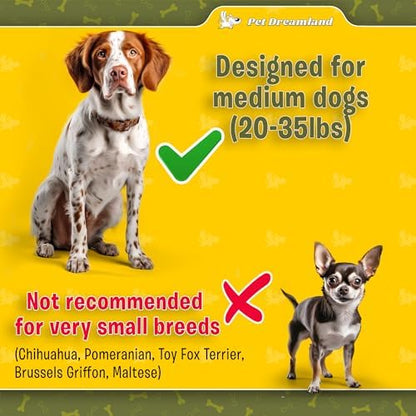 Exquisite Hands-Free Leash for Medium Dogs: Perfect for Active Pet Owners Comfortable, Durable & Ideal for Running, Walking, Hiking. Premium Dog Waist Leash with Bungee. Must-Have Dog Gear - Image 2